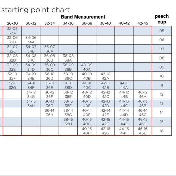 Peach Company Black Lovely Full Coverage Bra 42-13. 42D - Picture 8 of 8